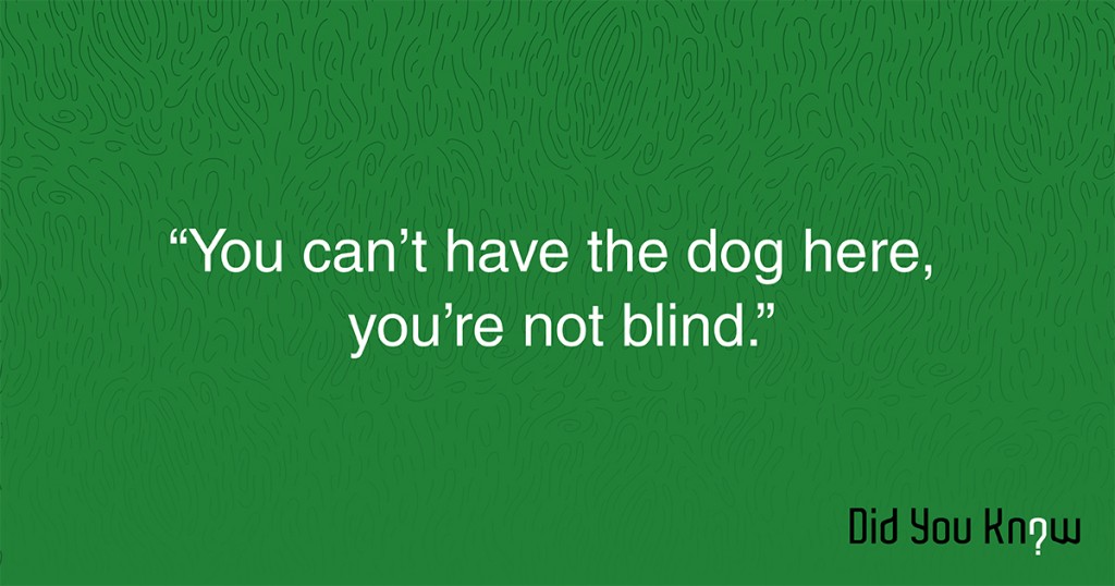 DYK-ServiceDogs-images-notblind1